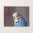 Zoek naar budgie puzzels Blauw