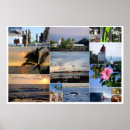 Recherche de 36 x 24 posters Pour tous
