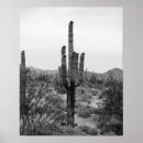 Recherche de cactus posters Peinture murale