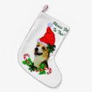 Recherche de corgi pembroke chaussette de noël Xmas