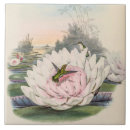 Zoek naar lotus tegels Water
