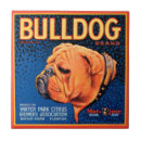 Recherche de animal familier carreaux Cru