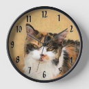 Recherche de cat horloges Calico