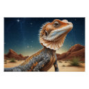 Recherche de casse cou posters Lézard à col cassé