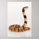 Recherche de blooded posters Intégral