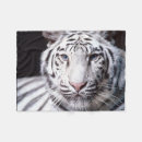 Zoek naar witte tijger dekens Wilde katten