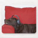Recherche de canapé tapis souris Chien