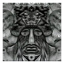 Recherche de shaman posters Chaman