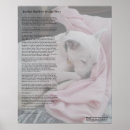 Zoek naar regenboogbrug posters Honden