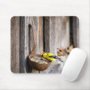 Recherche de pinsons tapis souris Oiseau