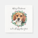 Recherche de beagle serviettes Chiot