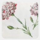 Zoek naar anjers stickers Bloemen