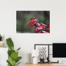 Zoek naar esdoorns posters Natuur