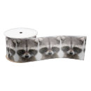 Recherche de raccoon rubans Animal