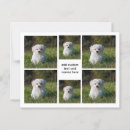 Zoek naar fotocollage briefkaarten Fotografie