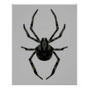 Recherche de araignées posters Arachnide