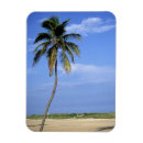 Recherche de miami la floride magnets Destinations de voyage