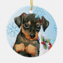 Zoek naar miniature pinscher ornamenten Minpin