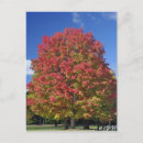 Recherche de couleurs automnales cartes postales Automne