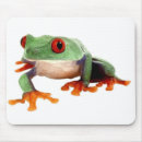 Recherche de grenouille verte tapis souris Nature