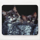 Recherche de récipient tapis souris Horizontal