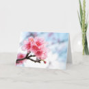 Recherche de sakura vœux cartes Pétales