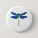 Recherche de libellules badges Faune