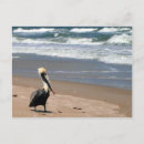 Recherche de nouvelle vague cartes postales Eau