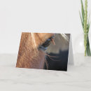 Recherche de chevaux toutes vœux cartes Photographie