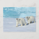Recherche de tasse cartes postales Animaux