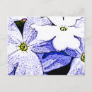 Recherche de jasmin cartes postales Nature