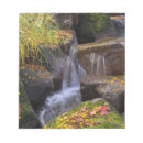 Recherche de seattle blocsnotes Washington
