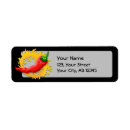 Zoek naar spiraal retouretiketten Rood