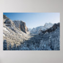 Recherche de contrasté posters Forêt