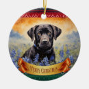 Zoek naar zwart labrador ornamenten Kerstmis