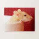 Recherche de rat puzzles Photographie