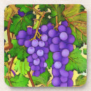 Recherche de plantes vertes dessous de verres Fruit