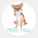 Recherche de chewawa autocollants Chiwawa