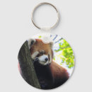 Zoek naar red panda sleutelhangers Natuur