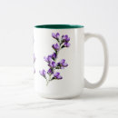 Recherche de pois pourpre tasses Fleurs