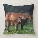 Recherche de pur sang coussins Cheval