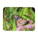 Recherche de monarque magnets Printemps