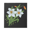 Zoek naar daffodil notitieblokken Narcissus