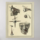 Recherche de yeux humains posters Anatomie