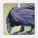 Recherche de corbeau ornements Violet