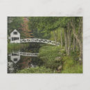 Recherche de désert cartes postales Vert