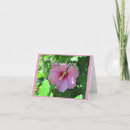 Recherche de hibiscus vœux cartes Botanique