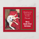 Zoek naar smiling briefkaarten Puppy