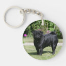 Recherche de photo de carlin porteclés Noir