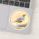 Recherche de poussin autocollants Oiseau